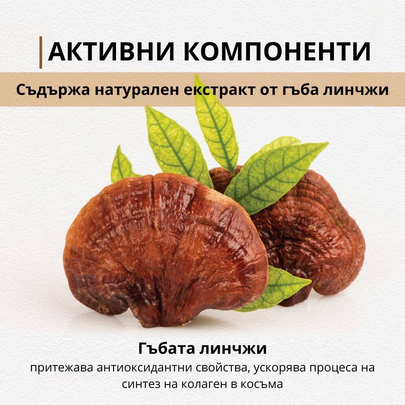 tiande (1081 x 1081 пиксела) (27)