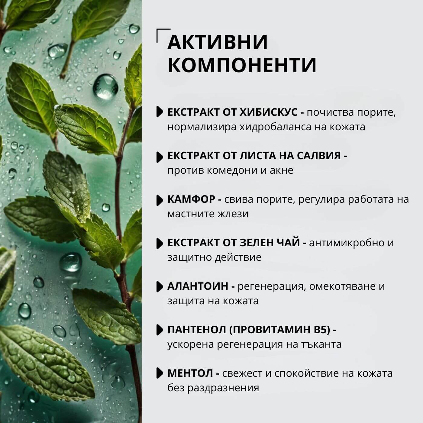 tiande (1081 x 1081 пиксела) (27)